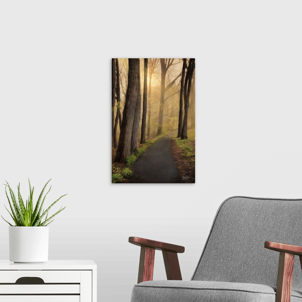 A modern room featuring A path through a misty forest with golden sunlight.