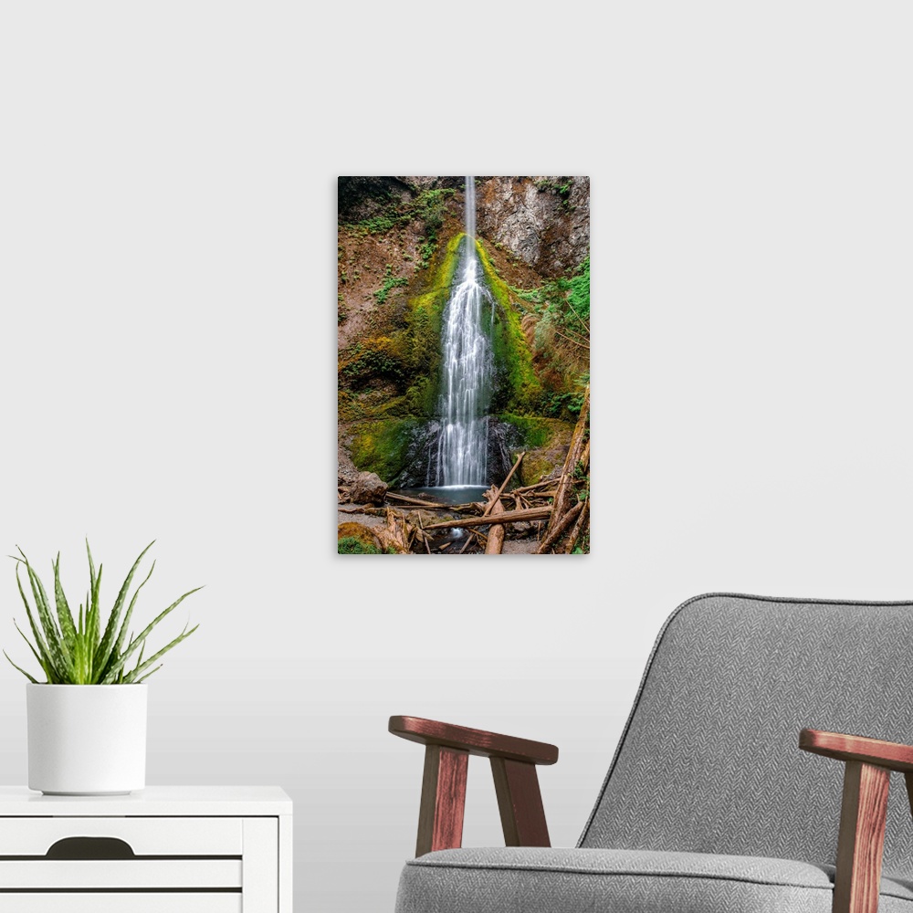 A modern room featuring View of Marymere Falls in Olympic National Park, Washington.