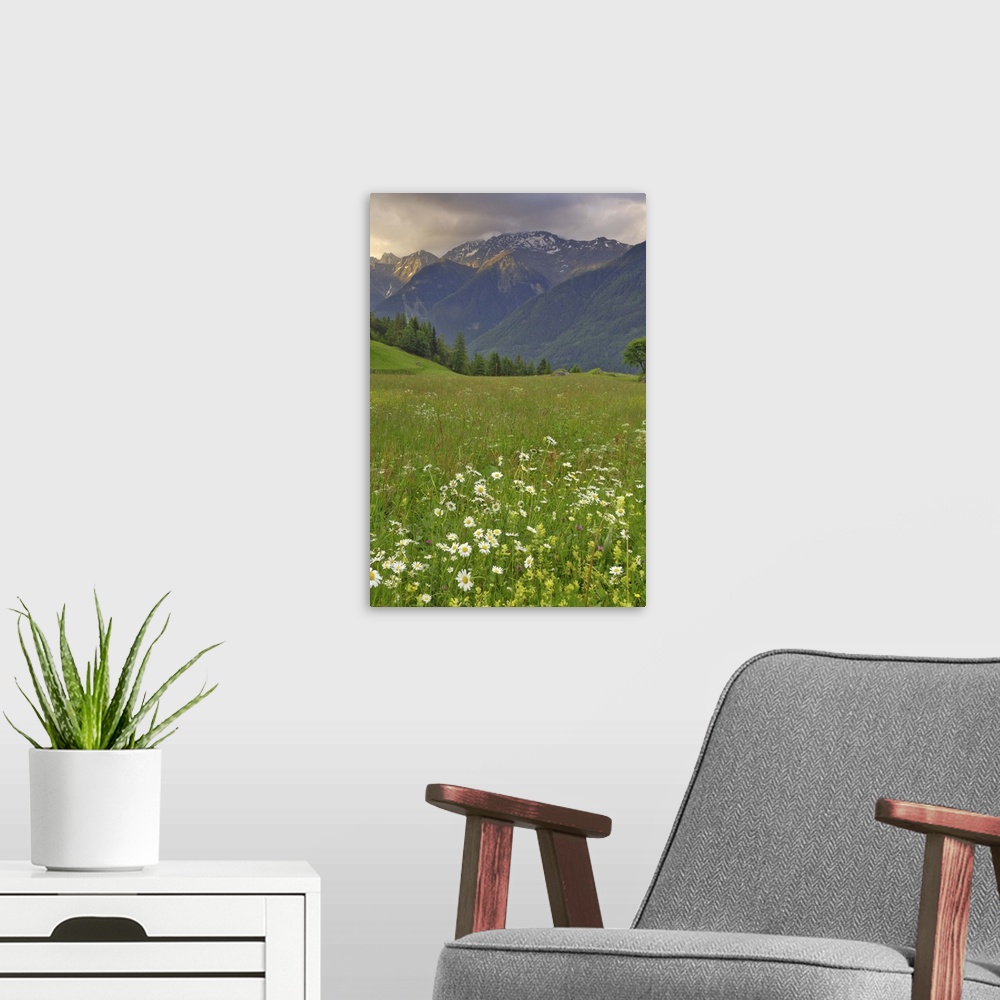 A modern room featuring Alpine meadow, near Kofels, Umhausen, Otztal valley, Tyrol, Austria