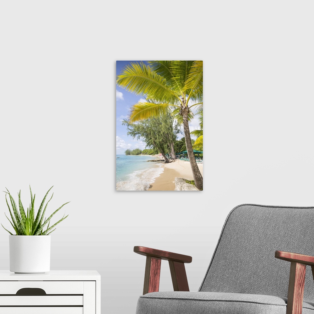 A modern room featuring Beach, Holetown, St. James, Barbados, West Indies, Caribbean, Central America
