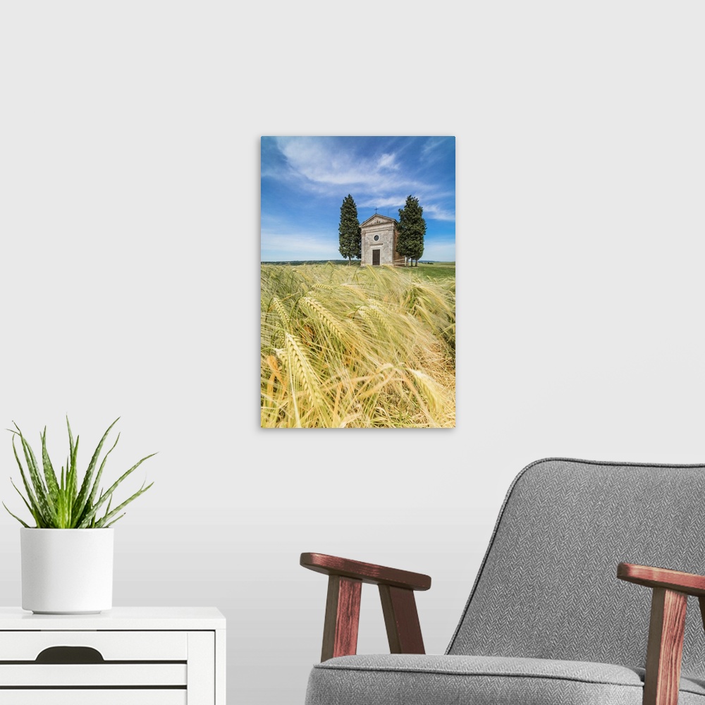 A modern room featuring Fields of ears of corn on the gentle green hills of Val d'Orcia, Province of Siena, Tuscany, Italy