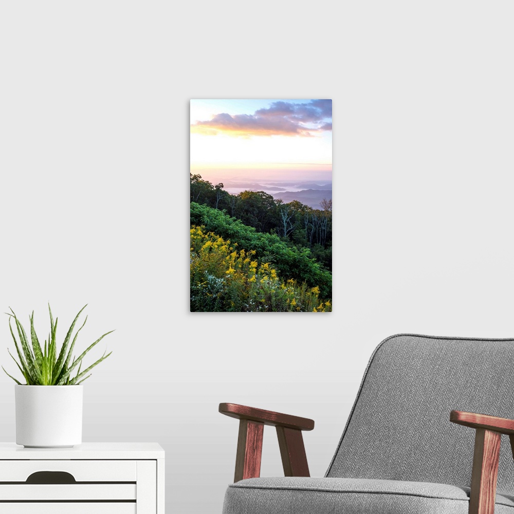 A modern room featuring Golden rods and sunrise over the Blue Ridge Mountains, North Carolina, United States of America, ...