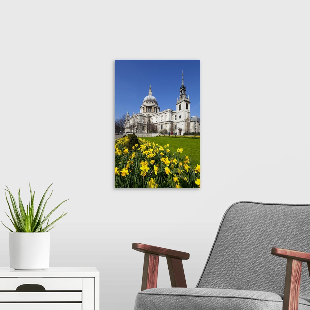 A modern room featuring St. Paul's Cathedral with daffodils, London, England, United Kingdom, Europe