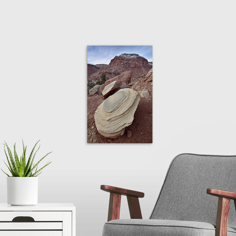 A modern room featuring Tan sandstone boulder among red rocks, Carson National Forest, New Mexico
