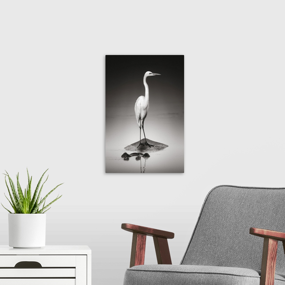 A modern room featuring Great white egret on hippopotamus.