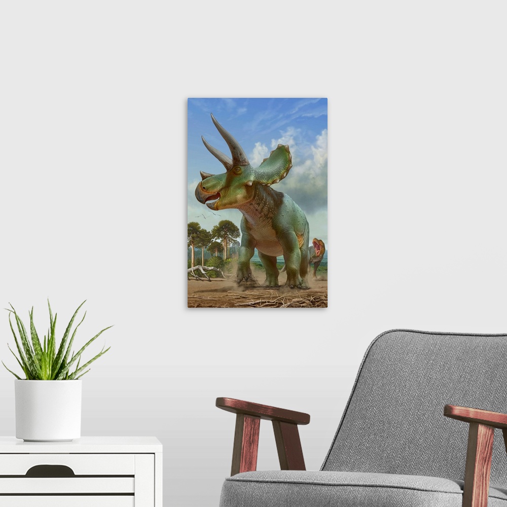 A modern room featuring Triceratops running away from a T-rex chasing after it.