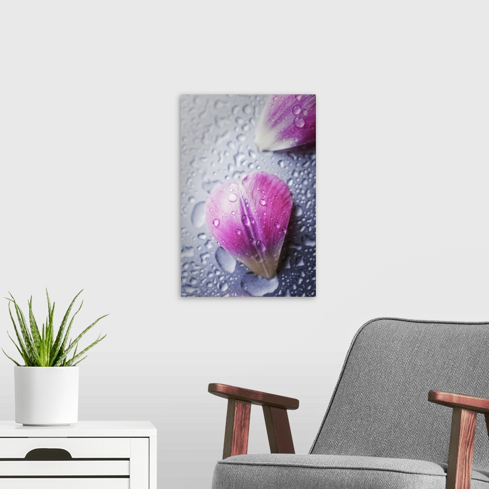 A modern room featuring Close up of water droplets on small flower petals.