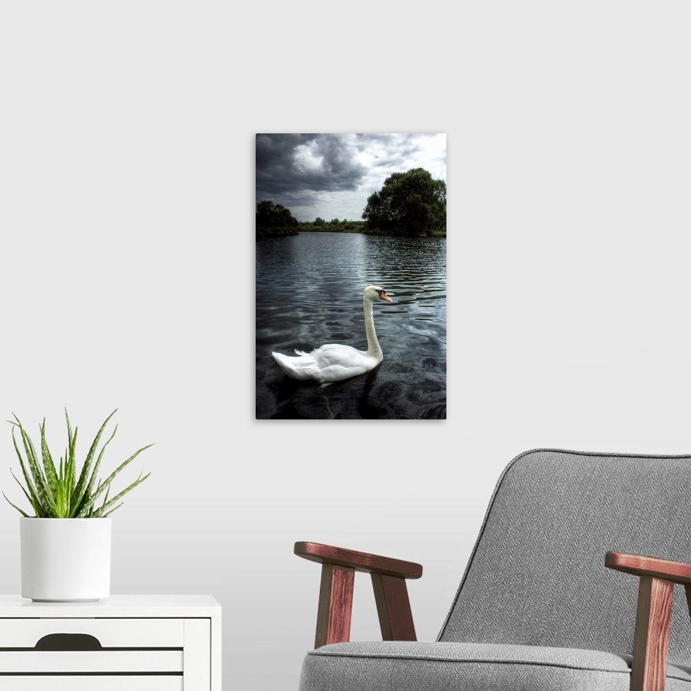 A modern room featuring A swan on the river