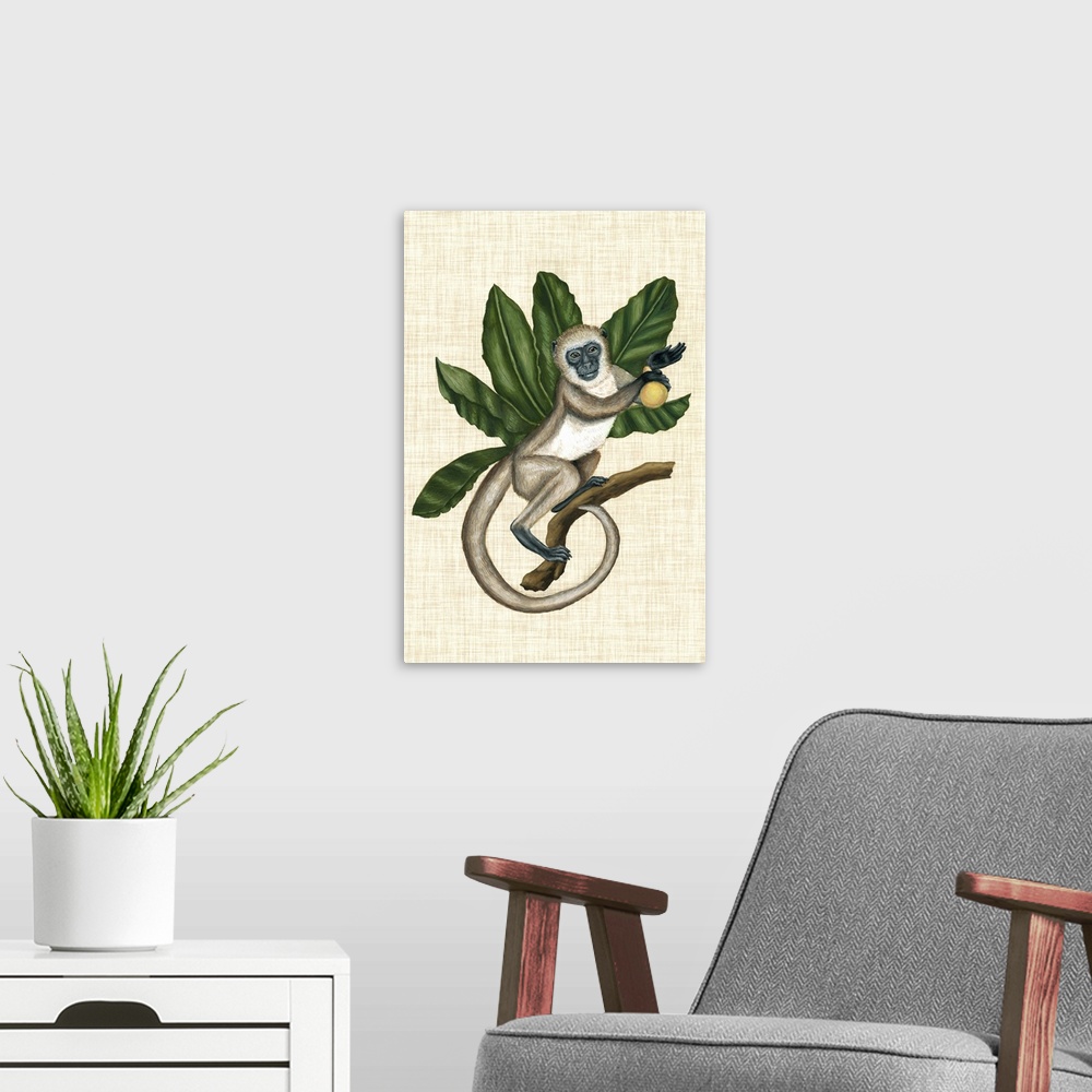 A modern room featuring Vintage stylized scientific wildlife illustration of a monkey with tropical leaves against a burl...