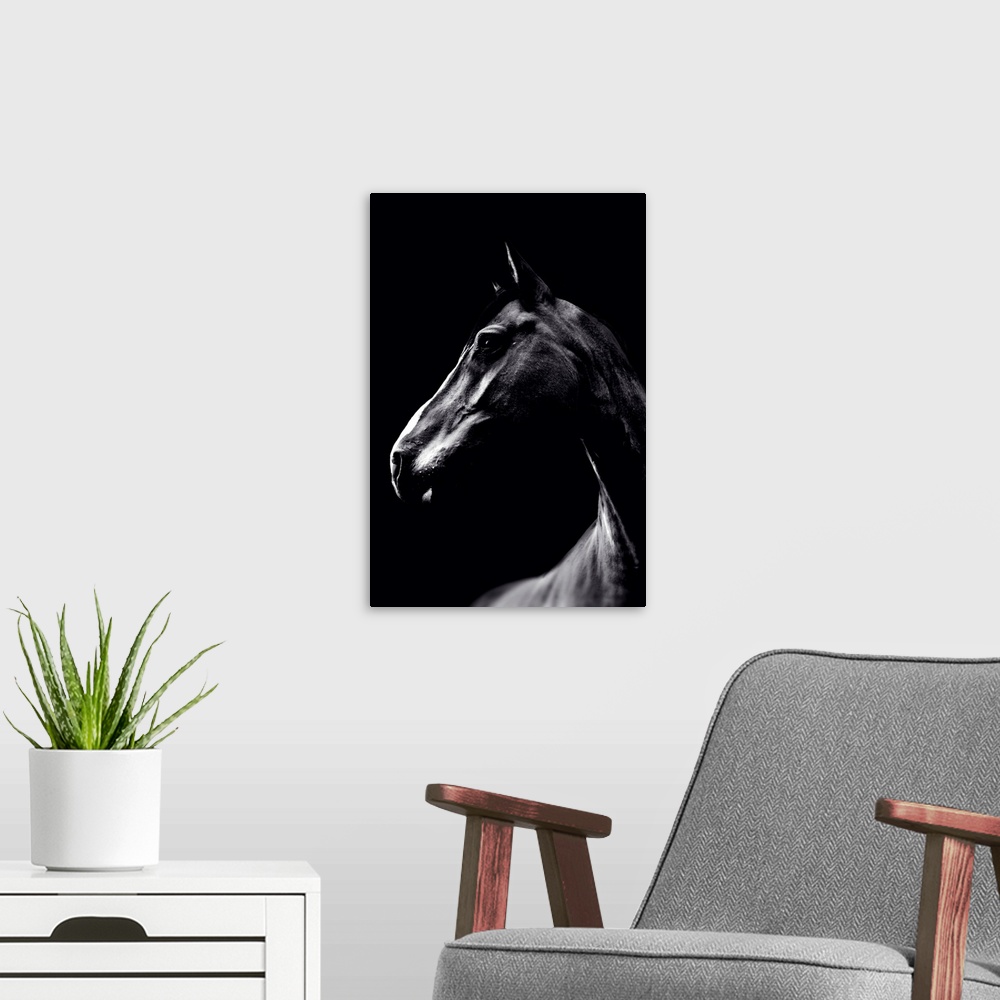 A modern room featuring Dark Horse