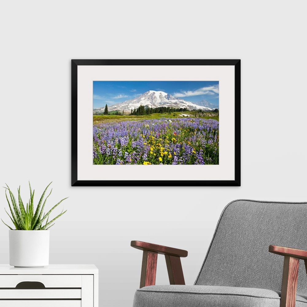 A modern room featuring Wildflowers In Paradise Park, Mount Rainier National Park, Washington