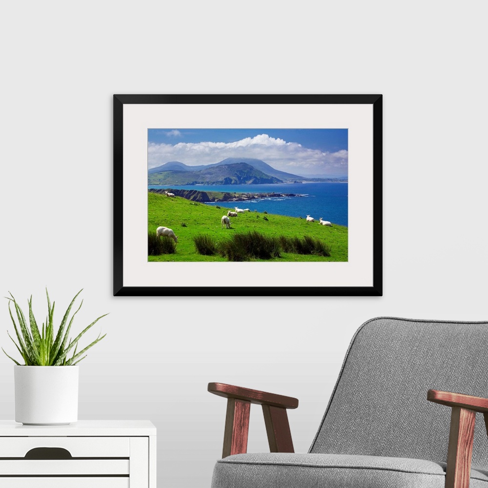 A modern room featuring Ireland, Donegal, Inishowen Peninsula, landscape near Pollan Bay