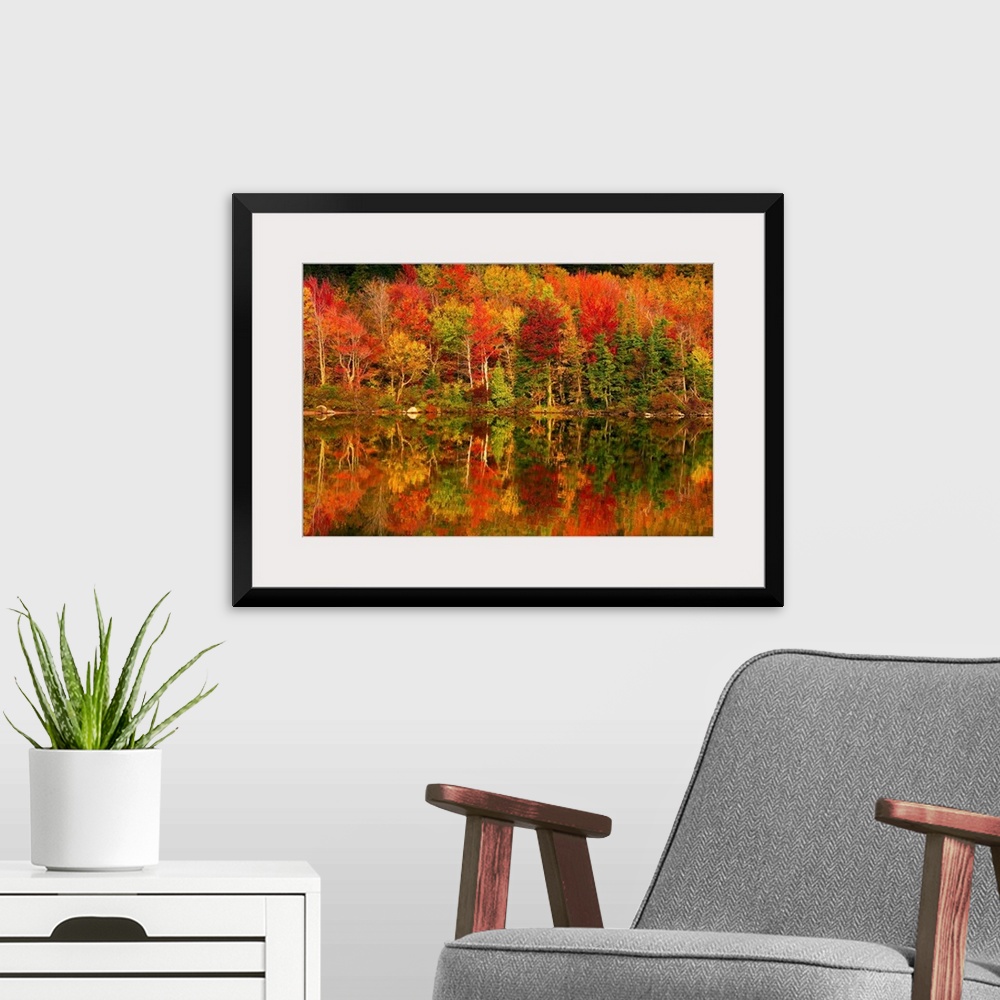 A modern room featuring New Hampshire, New England, White Mountains, Echo Lake in autumn