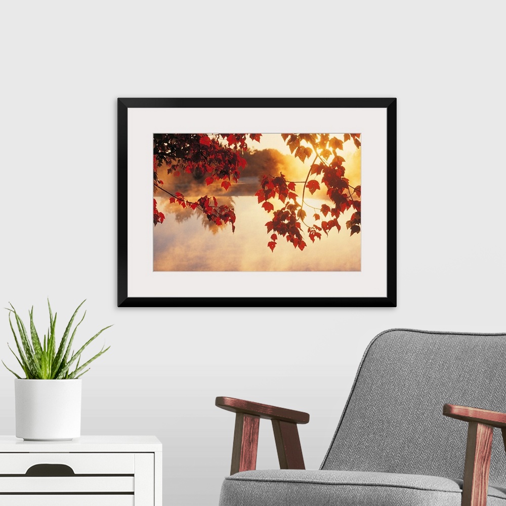 A modern room featuring Landscape wall art of autumn leaves hanging off a tree while mist rises off a pond in the morning...