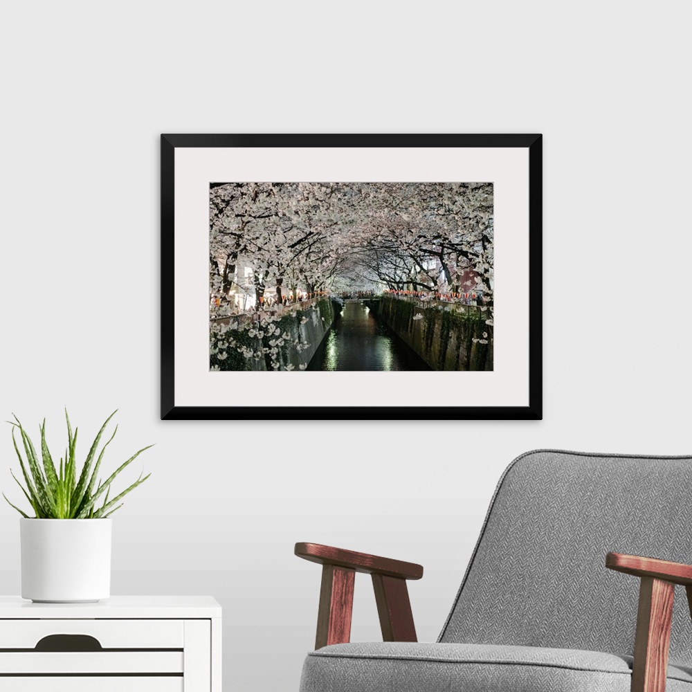 A modern room featuring Rows of cherry blossoms in full bloom line the meguro river in Tokyo, Japan on a bright evening i...