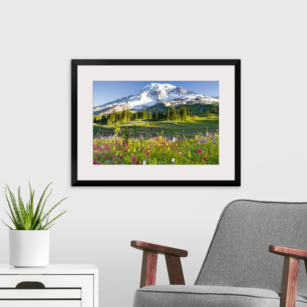 A modern room featuring Oversized, landscape photograph of a field of wildflowers including the purple arctic lupine (Lup...
