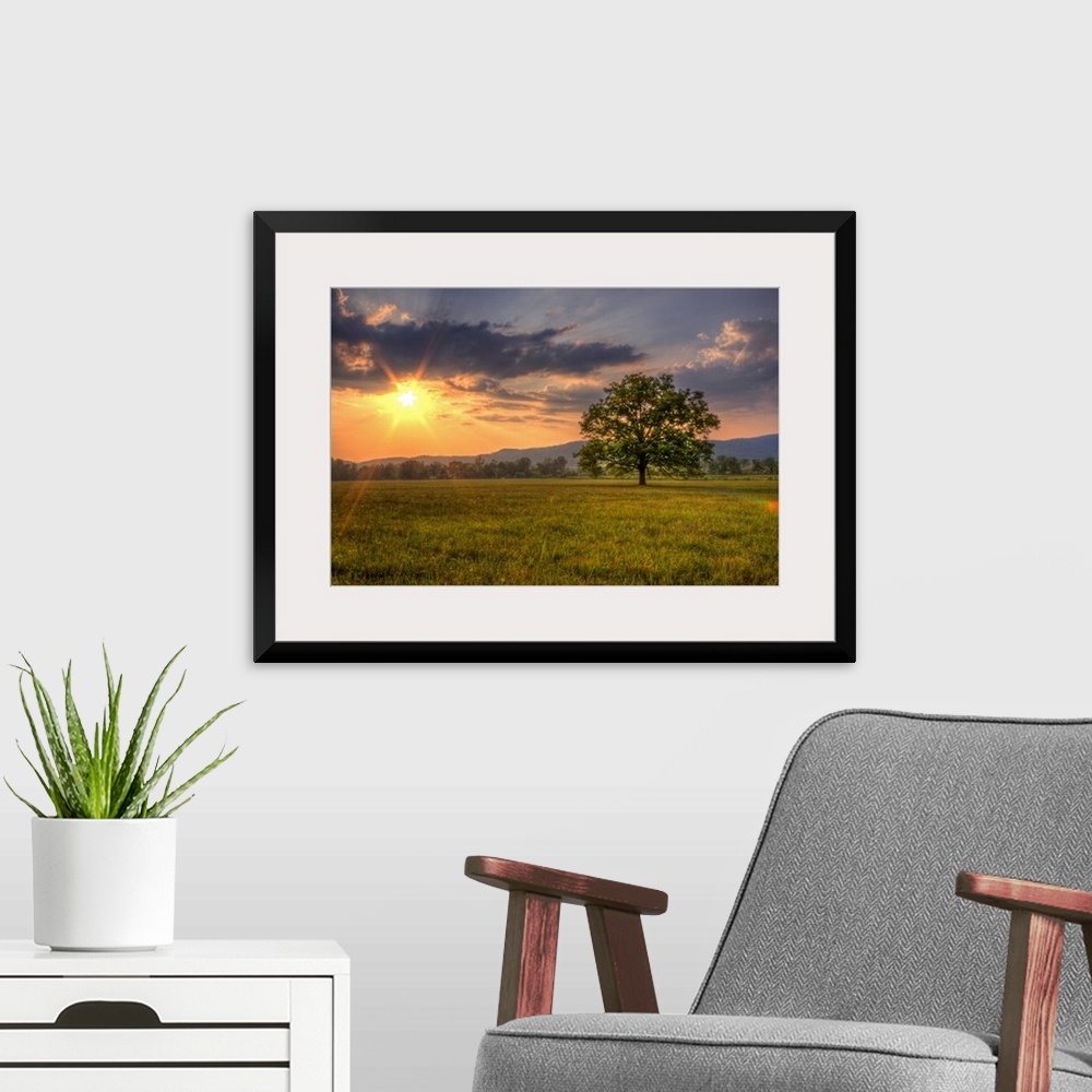 A modern room featuring Oversized, landscape photograph of a bright sunset over a vast field, with a single tree in the f...