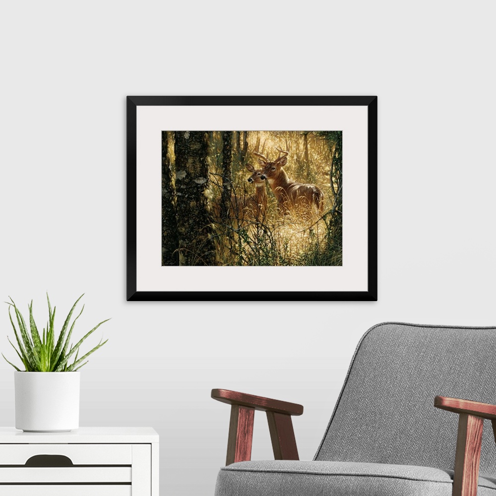 A modern room featuring Whitetail Deer - A Golden Moment - Horizontal
