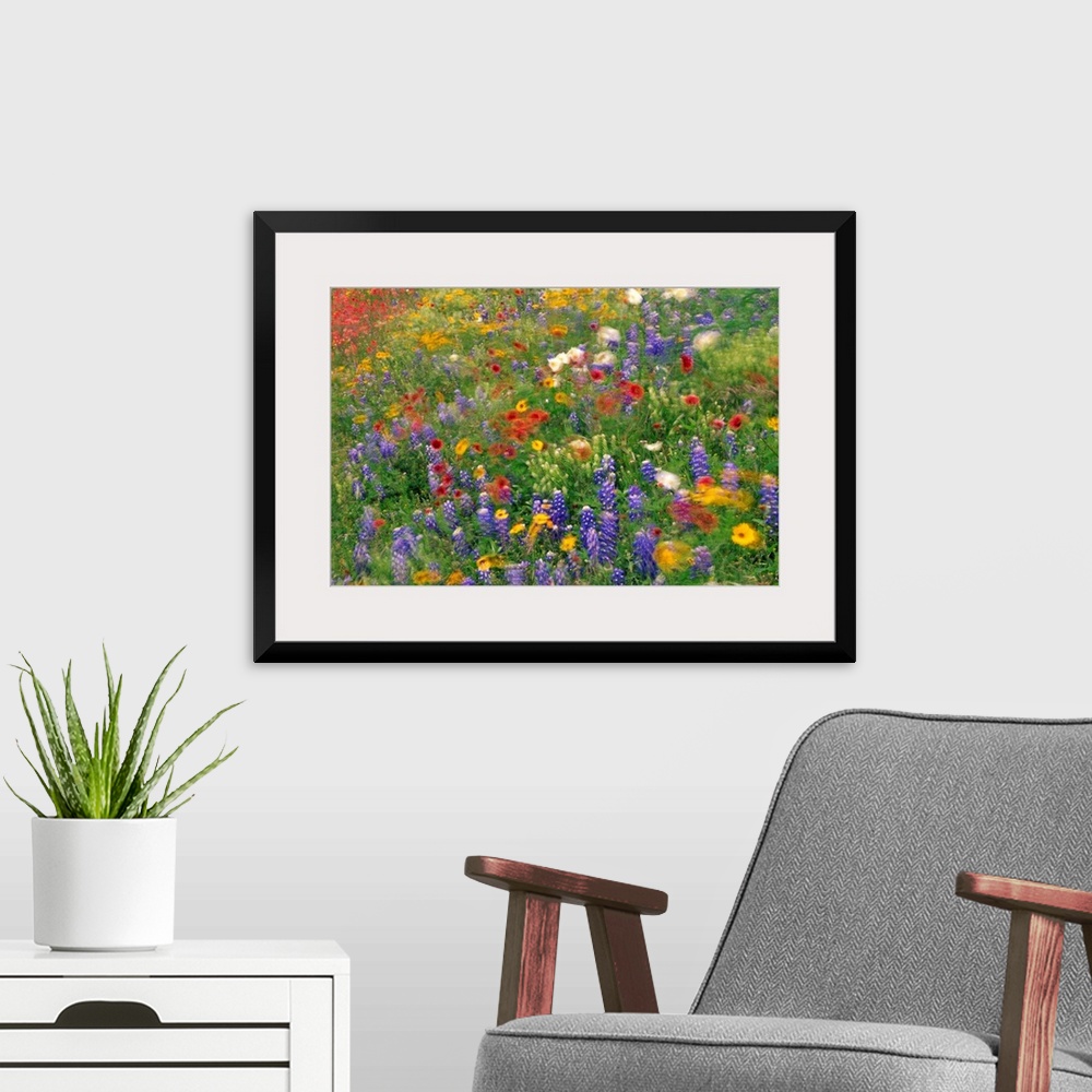 A modern room featuring Photograph of brightly colored flowers and tall grass swaying in the breeze with a blurred effect.