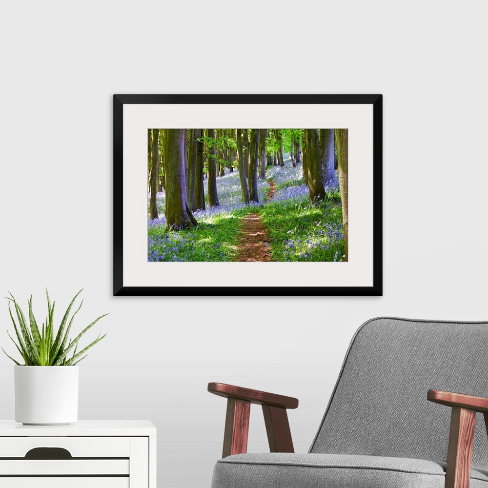 A modern room featuring Big photograph focuses on a small dirt path traveling down a dense woodland that is filled with t...