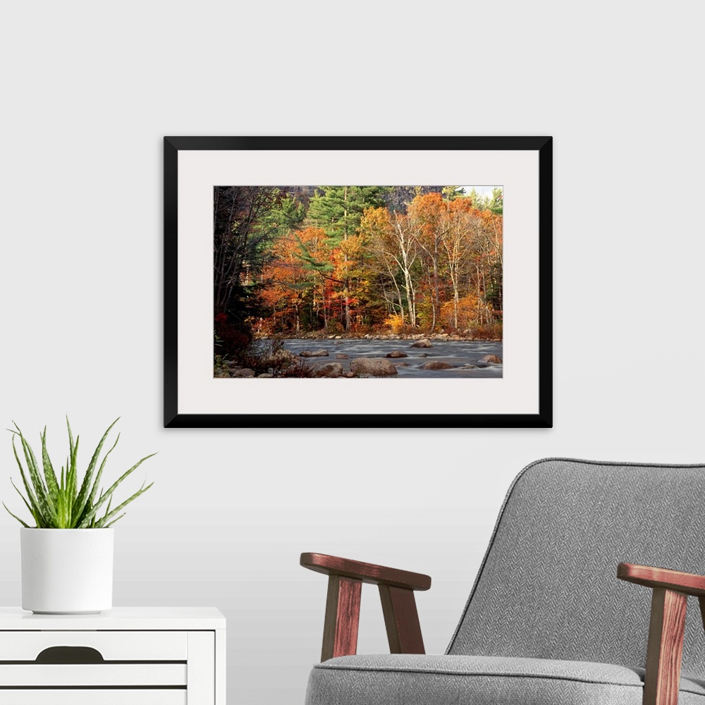 A modern room featuring Huge photograph displays the Swift River within White Mountains National Forest in New Hampshire ...