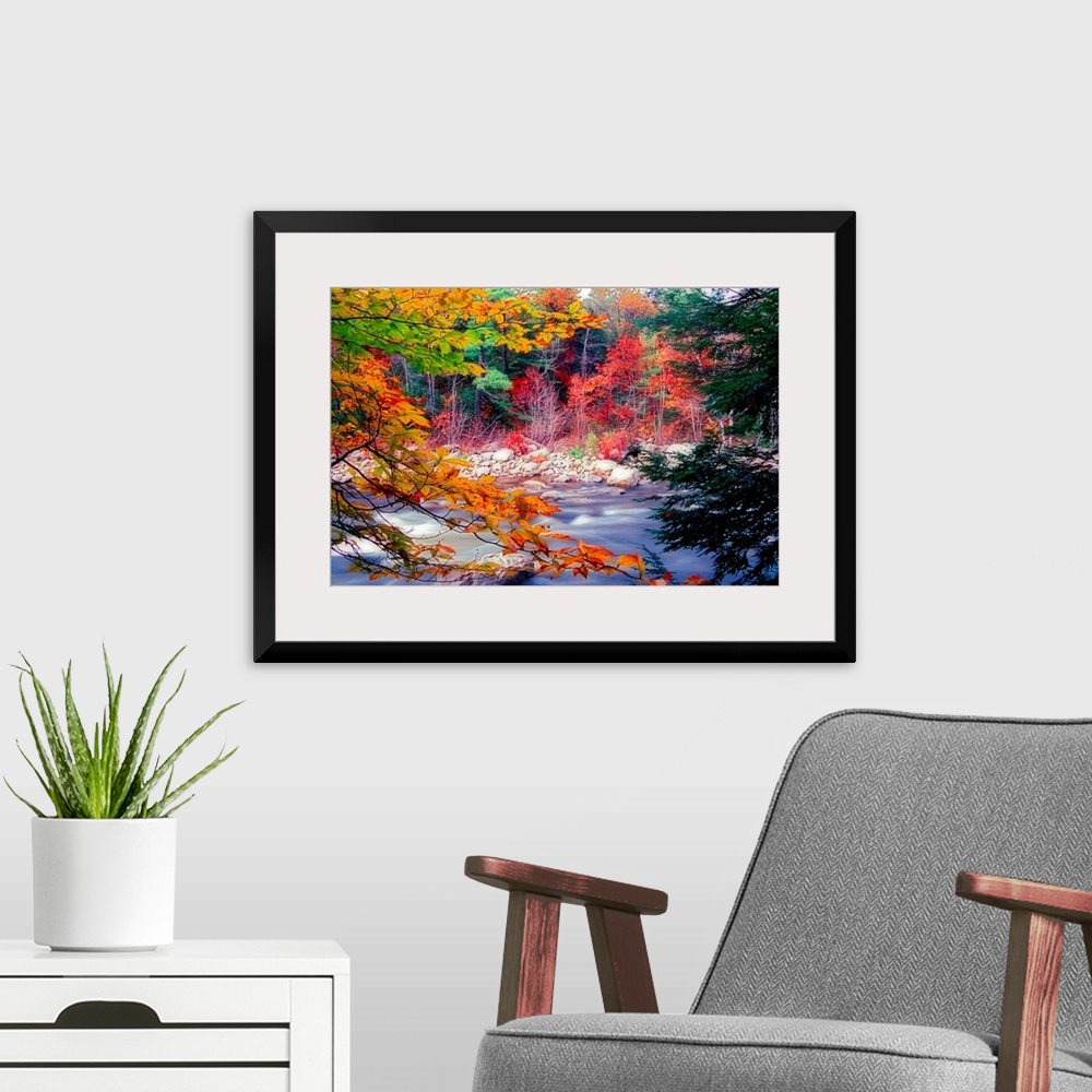 A modern room featuring Huge photograph taken from the rocky shore of a stream running through a woodland covered in the ...