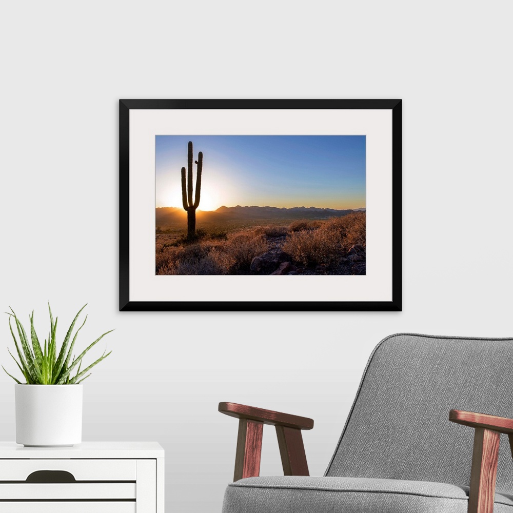 A modern room featuring Saguaro cactus at sunset in Phoenix, Arizona.