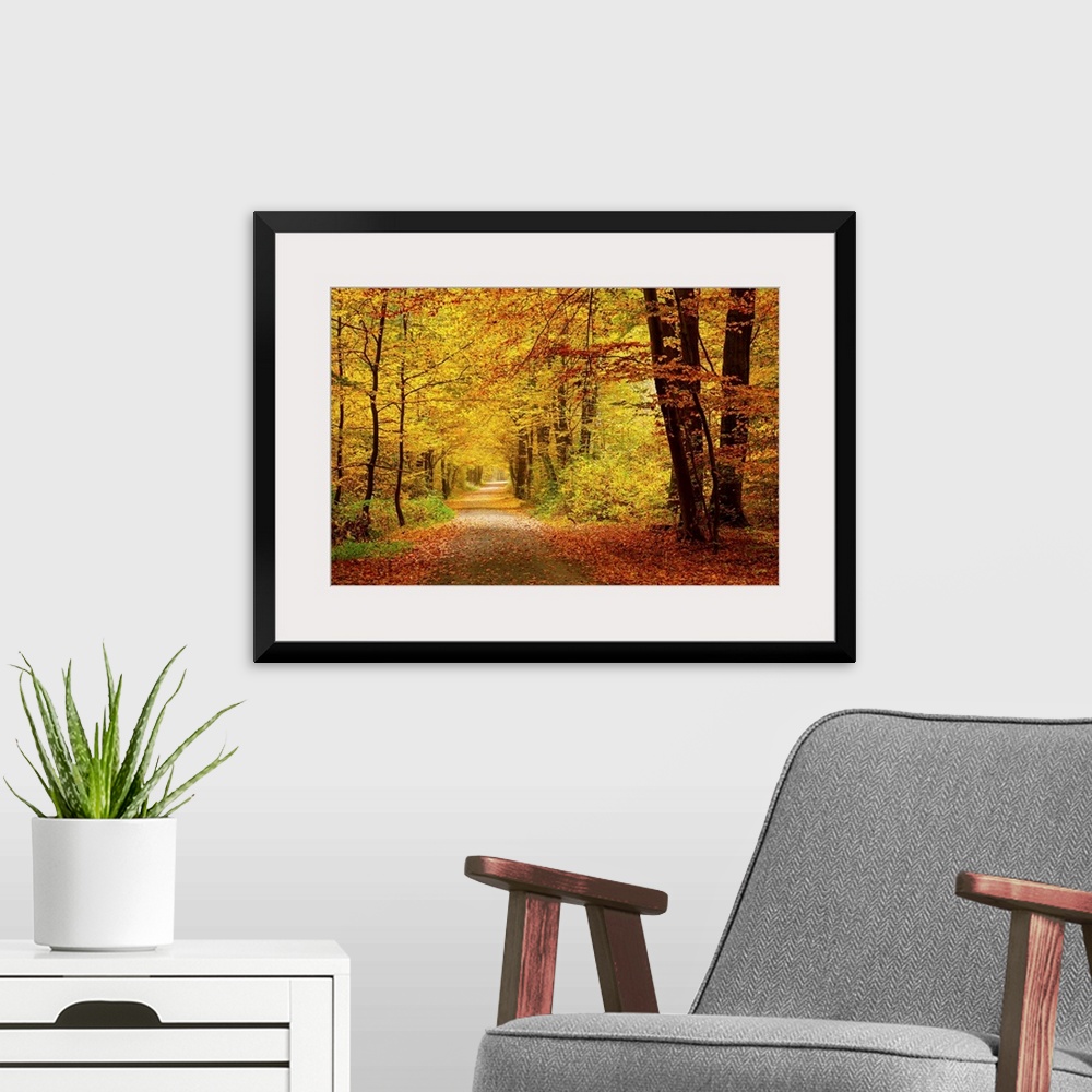 A modern room featuring Pathway in the autumn forest
