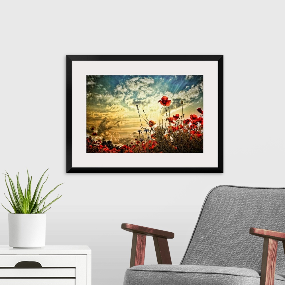 A modern room featuring Photograph of a poppy field under a cloudy sky.