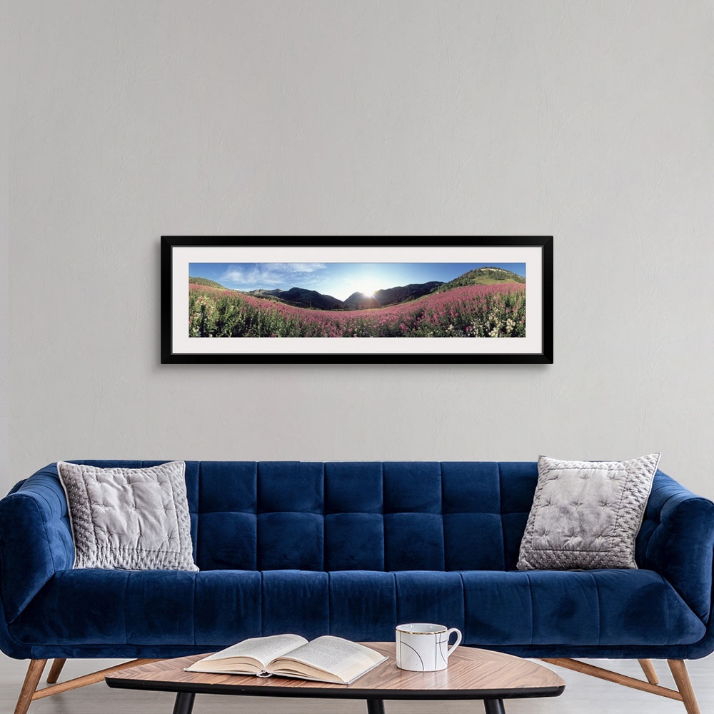 A modern room featuring Albion Basin UT