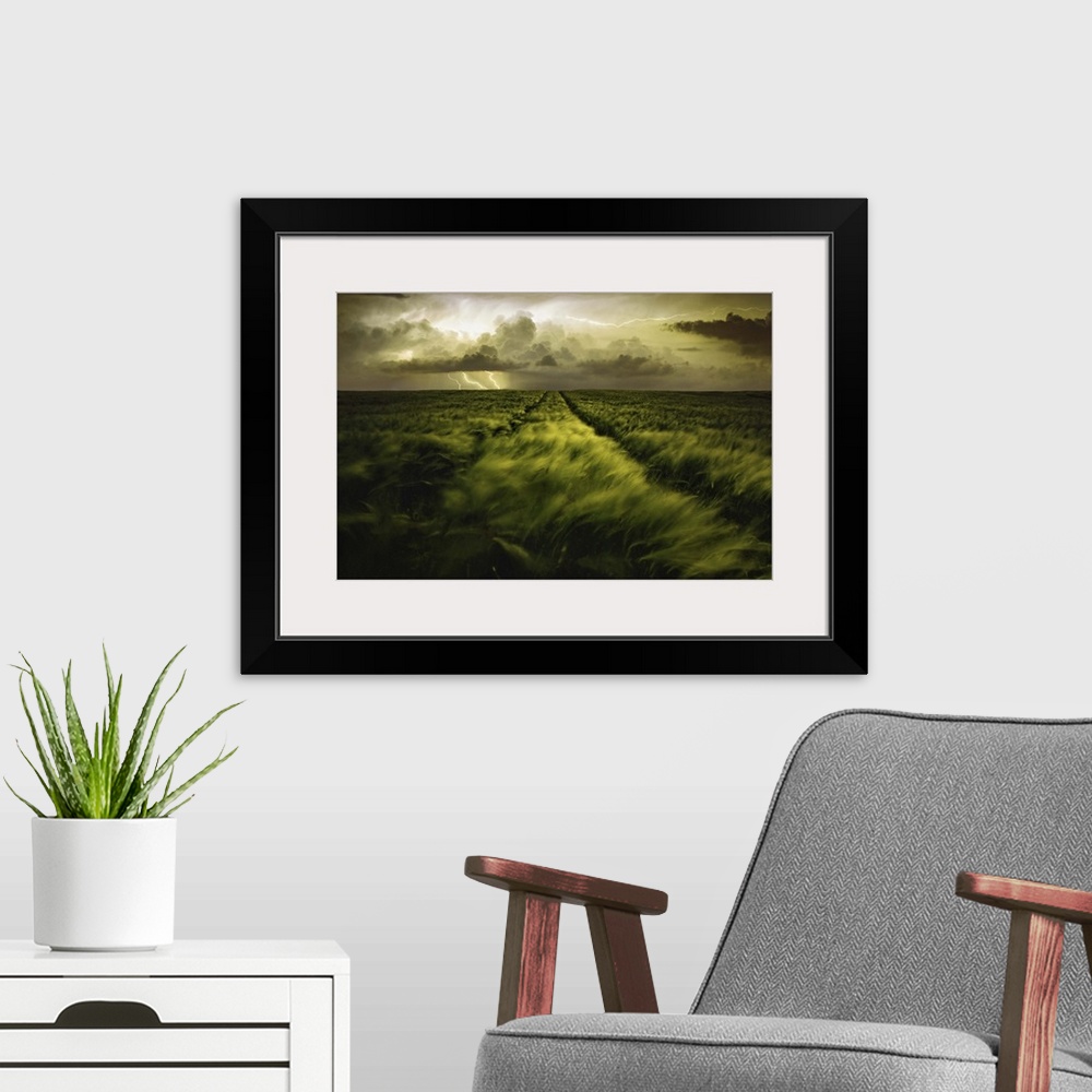 A modern room featuring Endless field of green grass swaying in the wind from a thunderstorm casting down lightning in Sl...