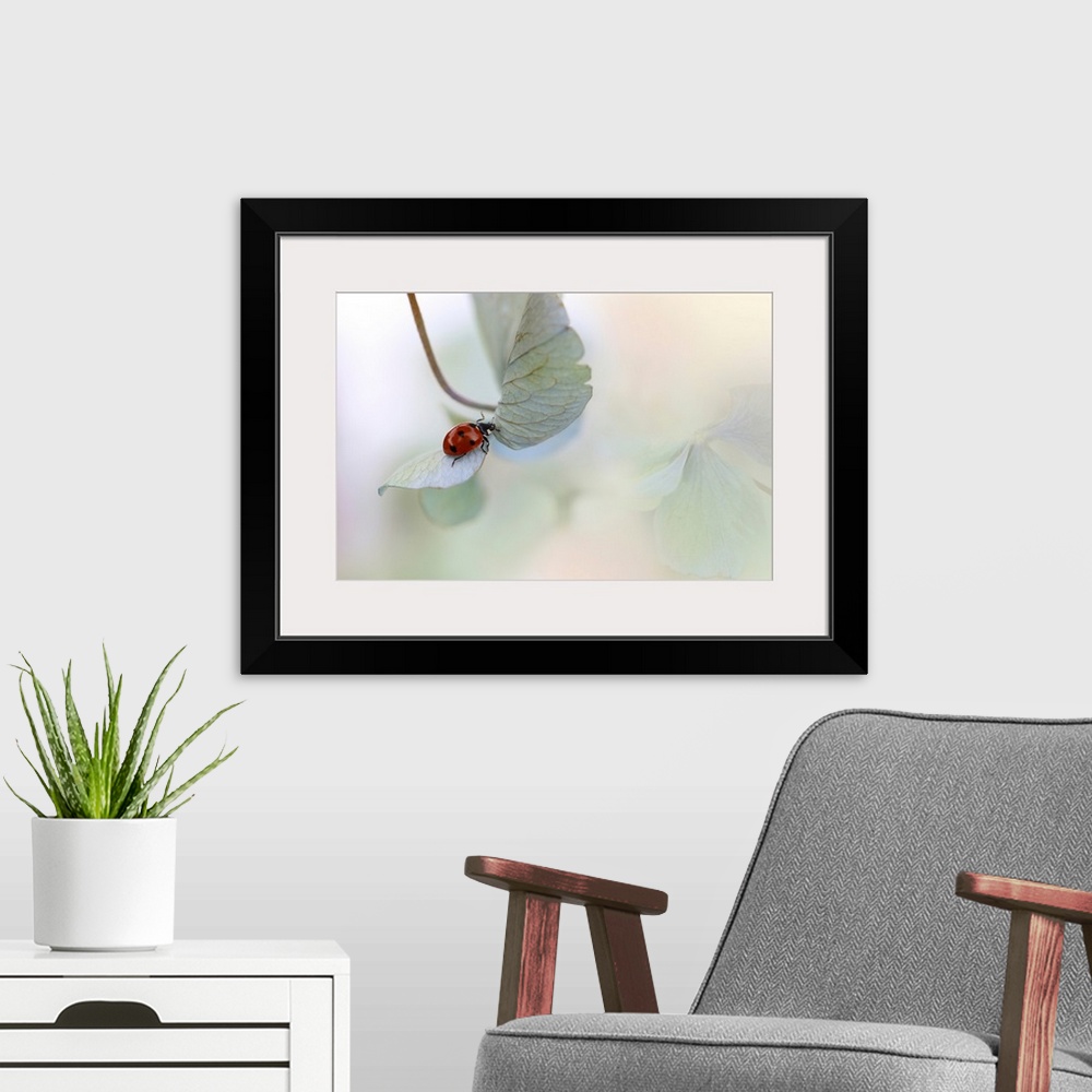 A modern room featuring Ladybird On Blue-Green Hydrangea