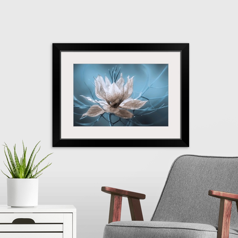 A modern room featuring A striking photograph of a white flower with blue branches streaming from it.