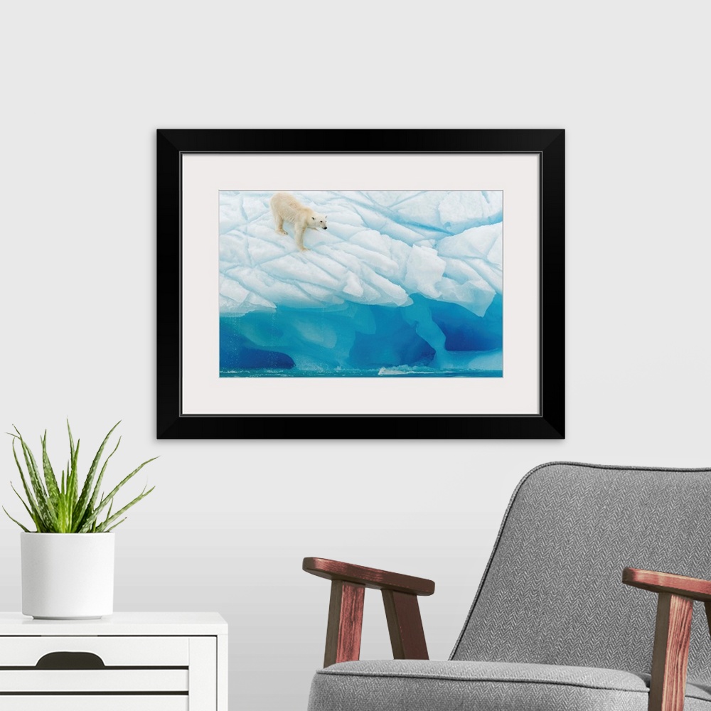 A modern room featuring A polar bear on the edge of a glacier.