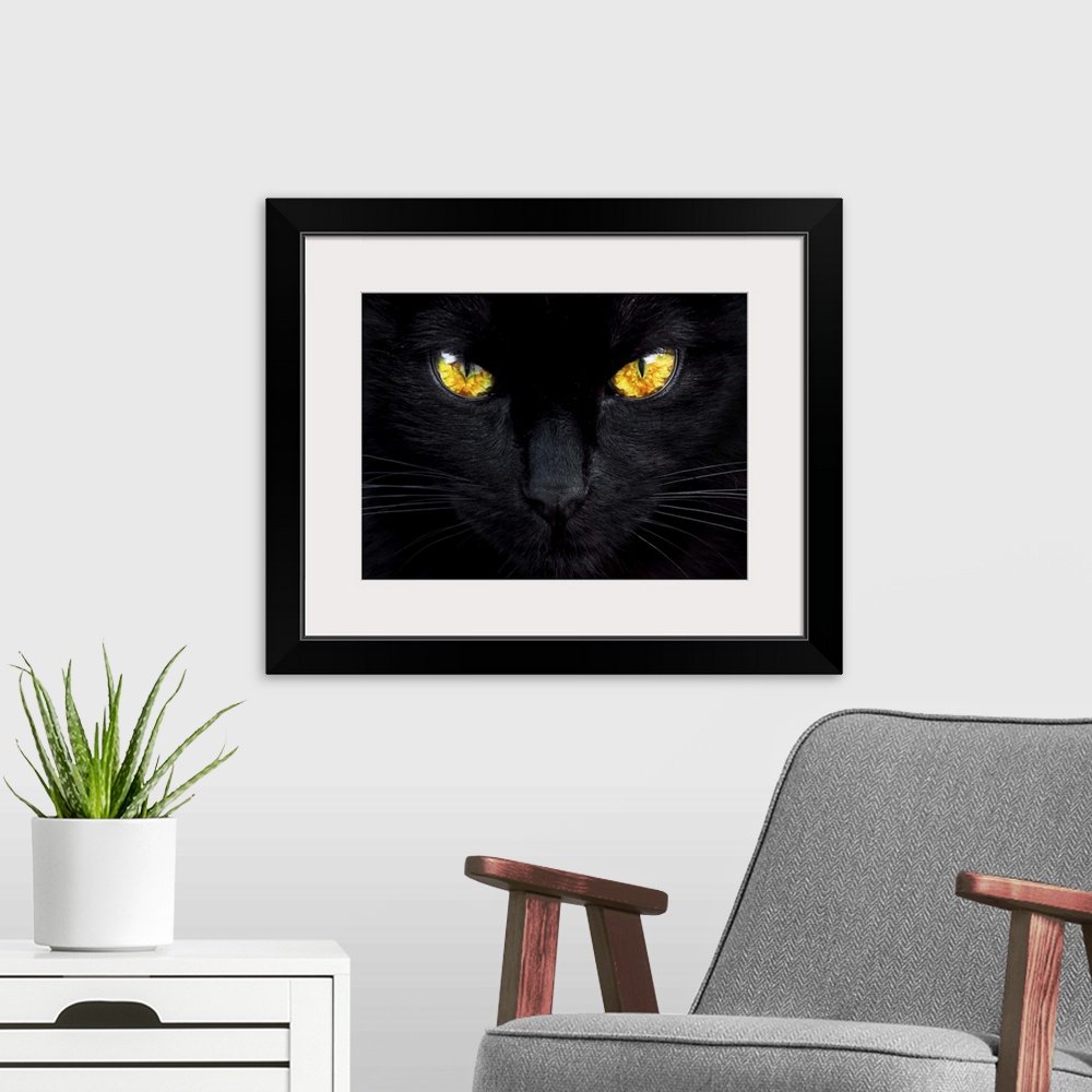 A modern room featuring A close-up of a black cat with glowing bright yellow eyes.