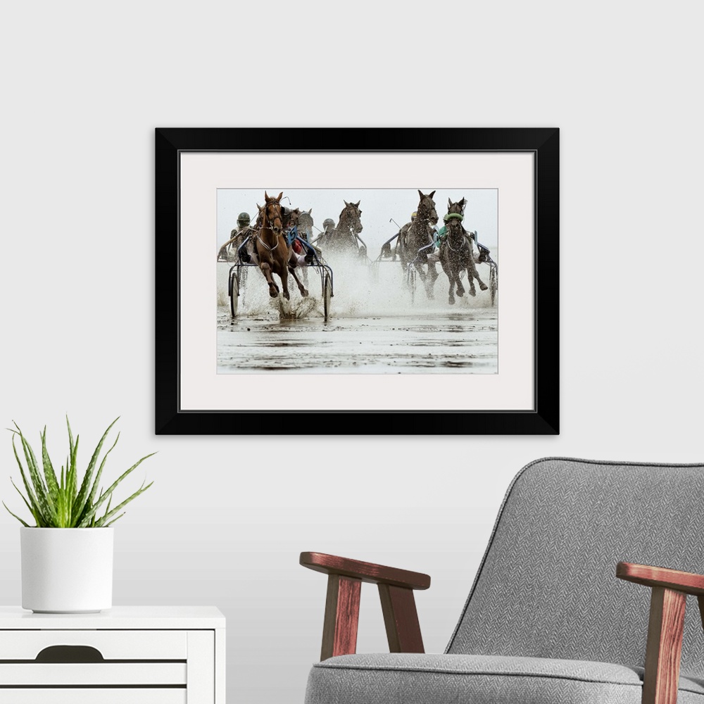 A modern room featuring Action shot of a harness race, where horses pull a two-wheeled cart called a sulky.
