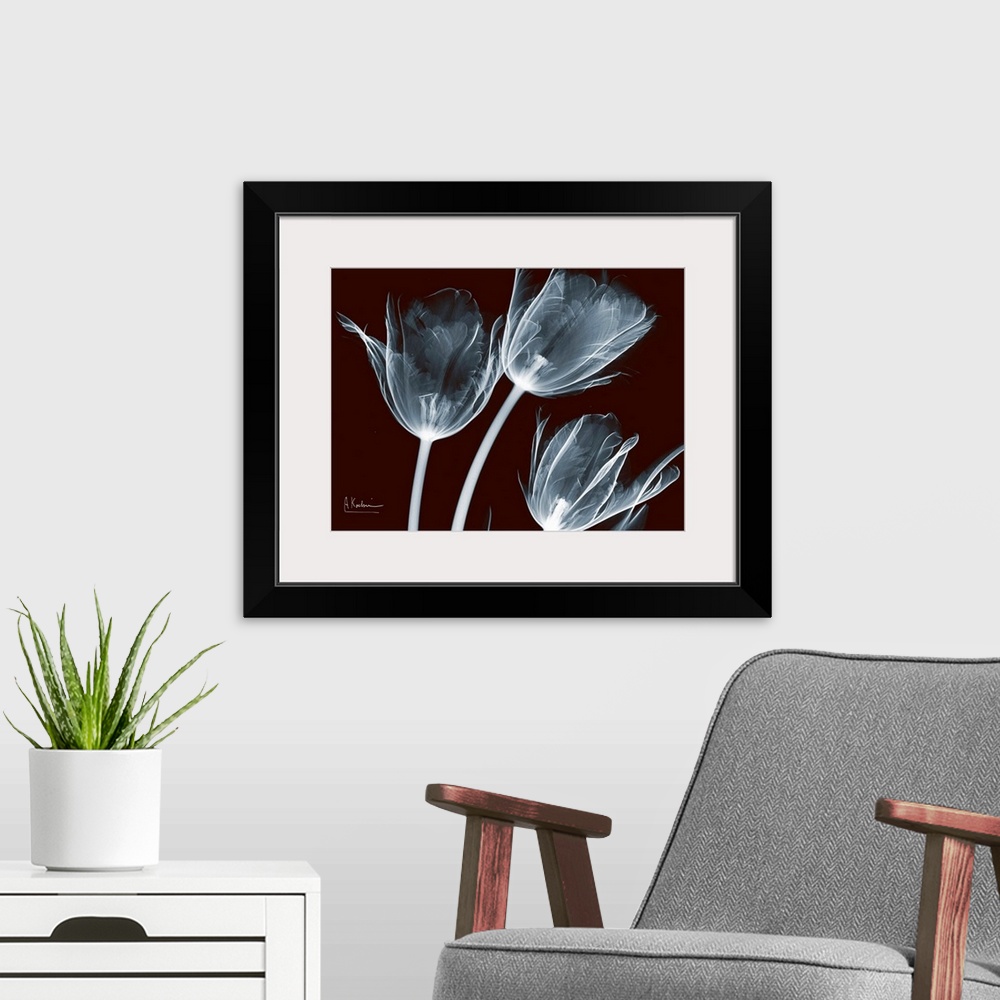 A modern room featuring X-Ray photograph of three flowers against a dark background.