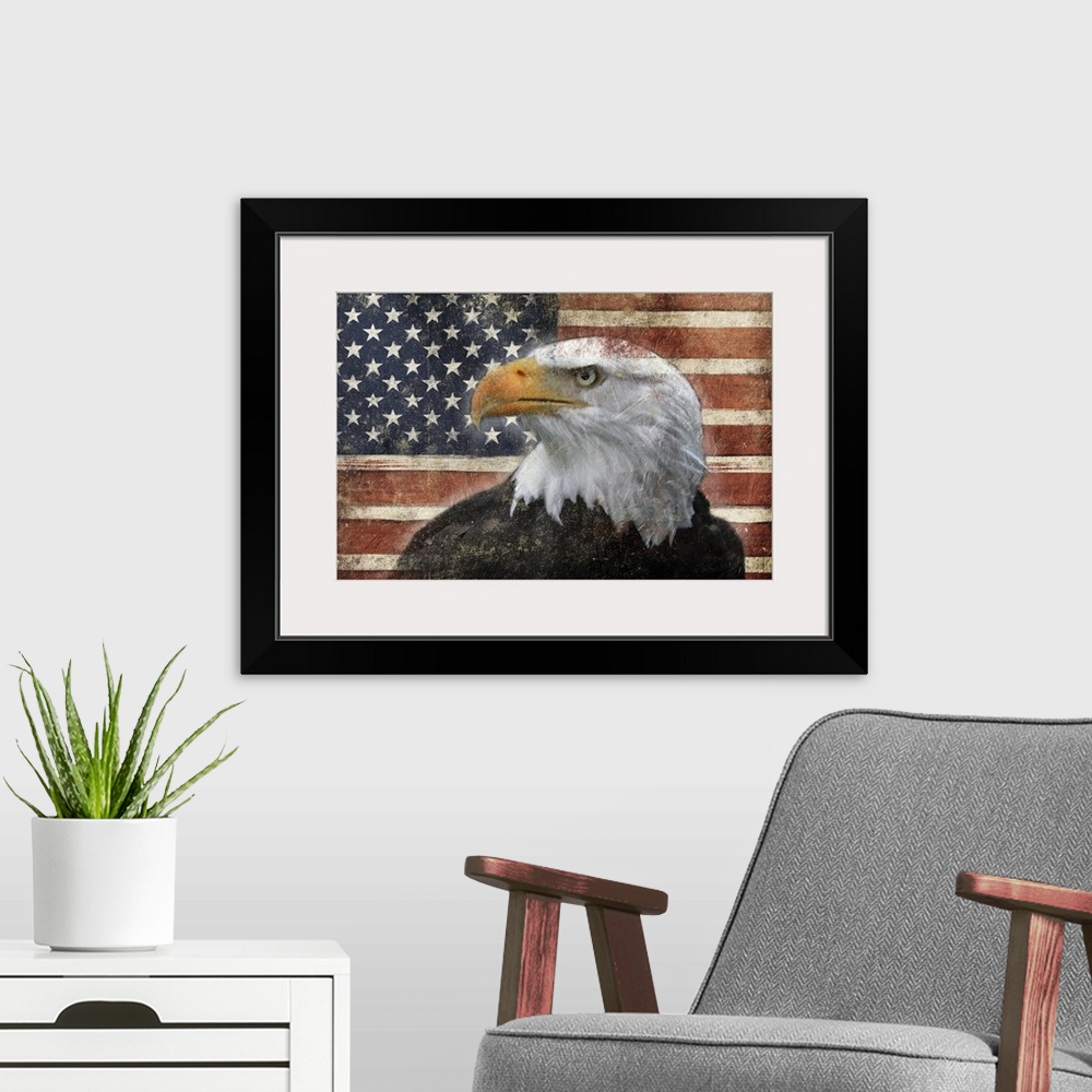 A modern room featuring Eagle and flag