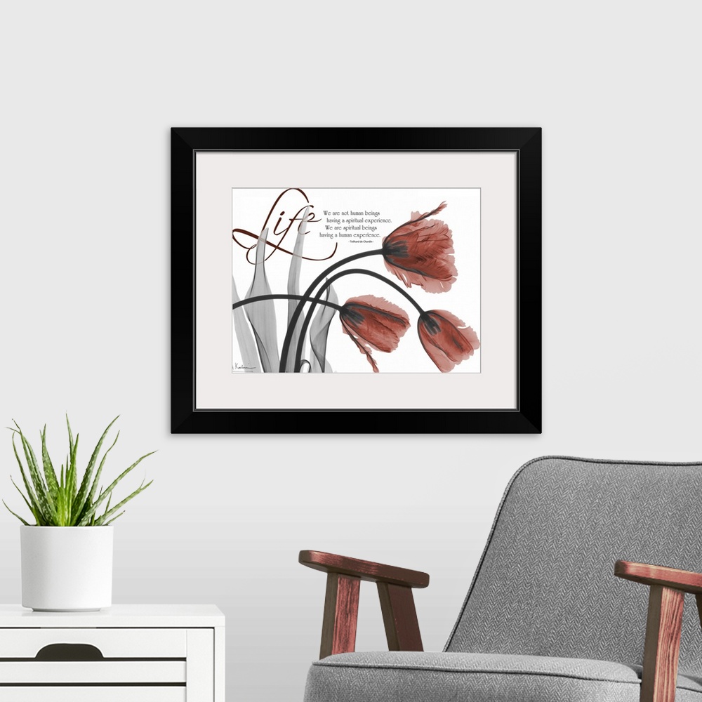 A modern room featuring Life Tulips x-ray photography