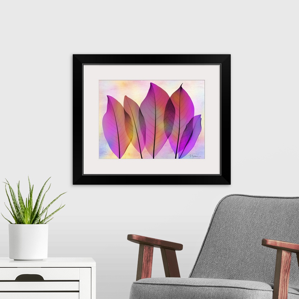 A modern room featuring X-Ray photography of Magnolia leaves in vibrant pink and purple colors.