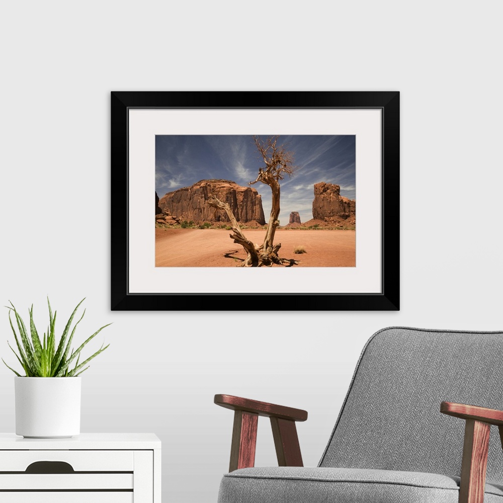A modern room featuring A blasted tree in the North Window of Monument Valley.