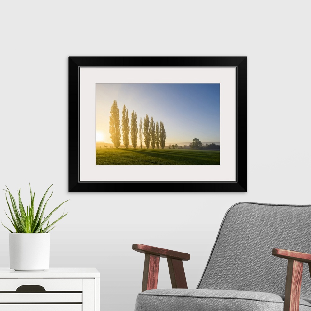 A modern room featuring Autumn sunrise behind a row of Lombardy Poplar trees at the recreation ground in the North Somers...