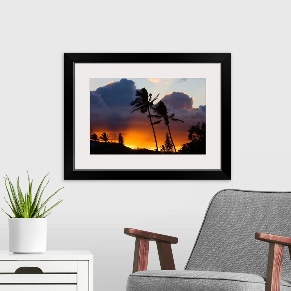 A modern room featuring Hawaii, Maui, North Shore, Palm Trees On A Hill, Puffy Clouds And Colorful Sunset