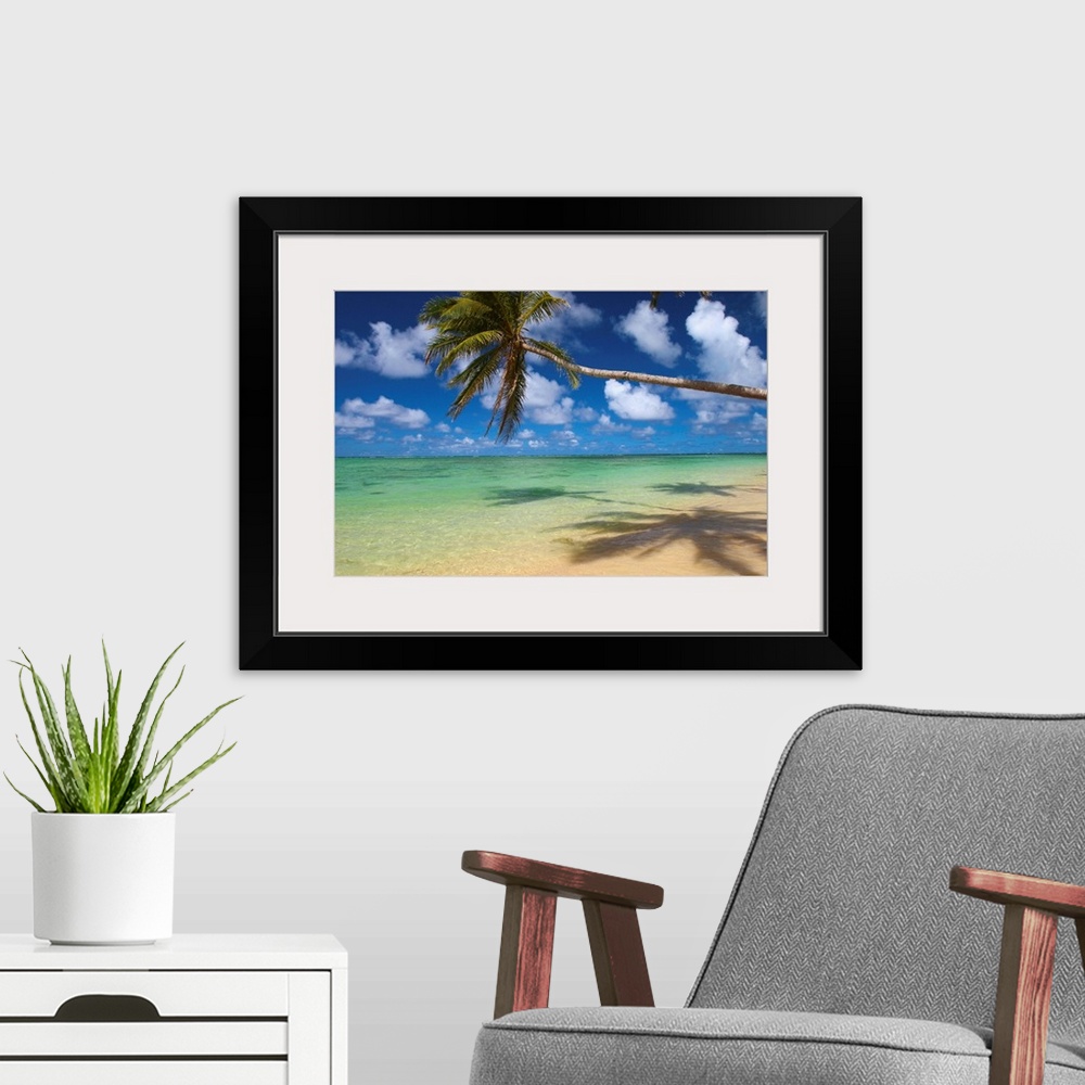 A modern room featuring Lone Palm Tree Leaning Over Beach With Shadow