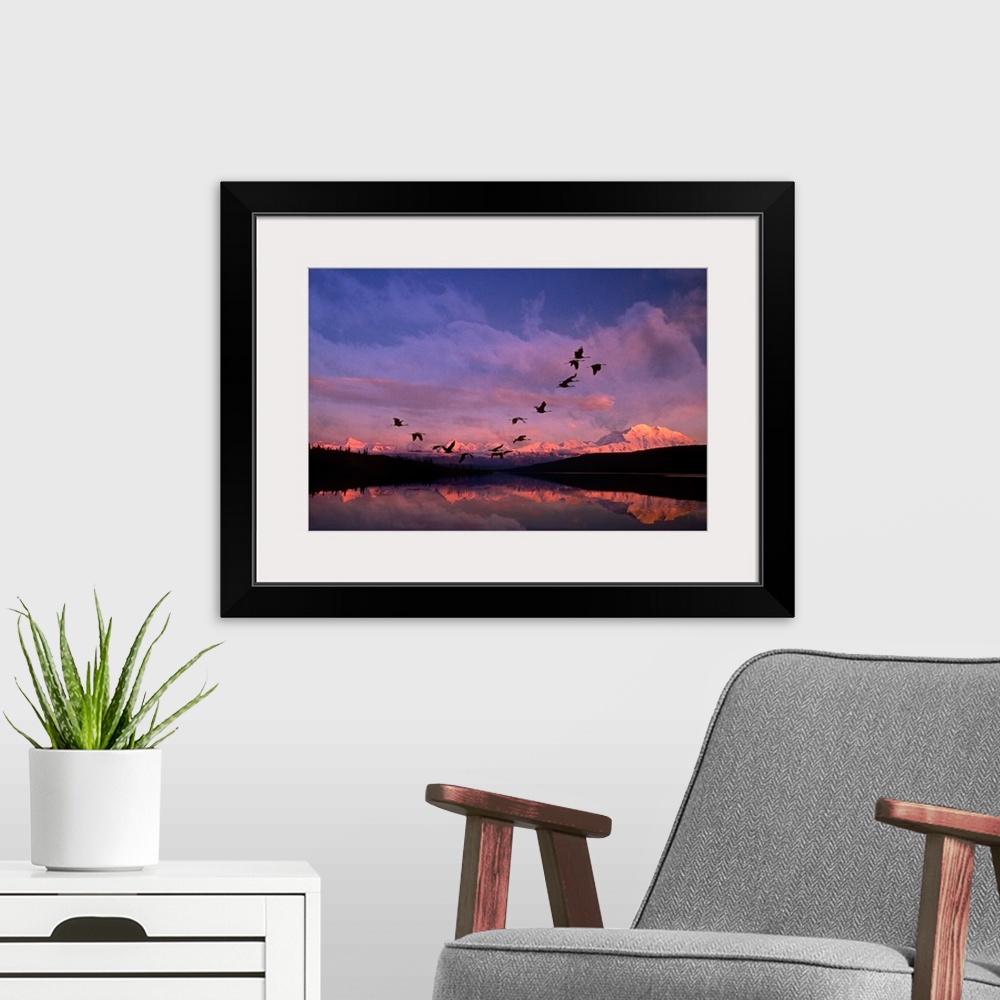 A modern room featuring Sandhill cranes flying past Mt McKinley Sunset Alaska & Wonder Lake Summer Composite