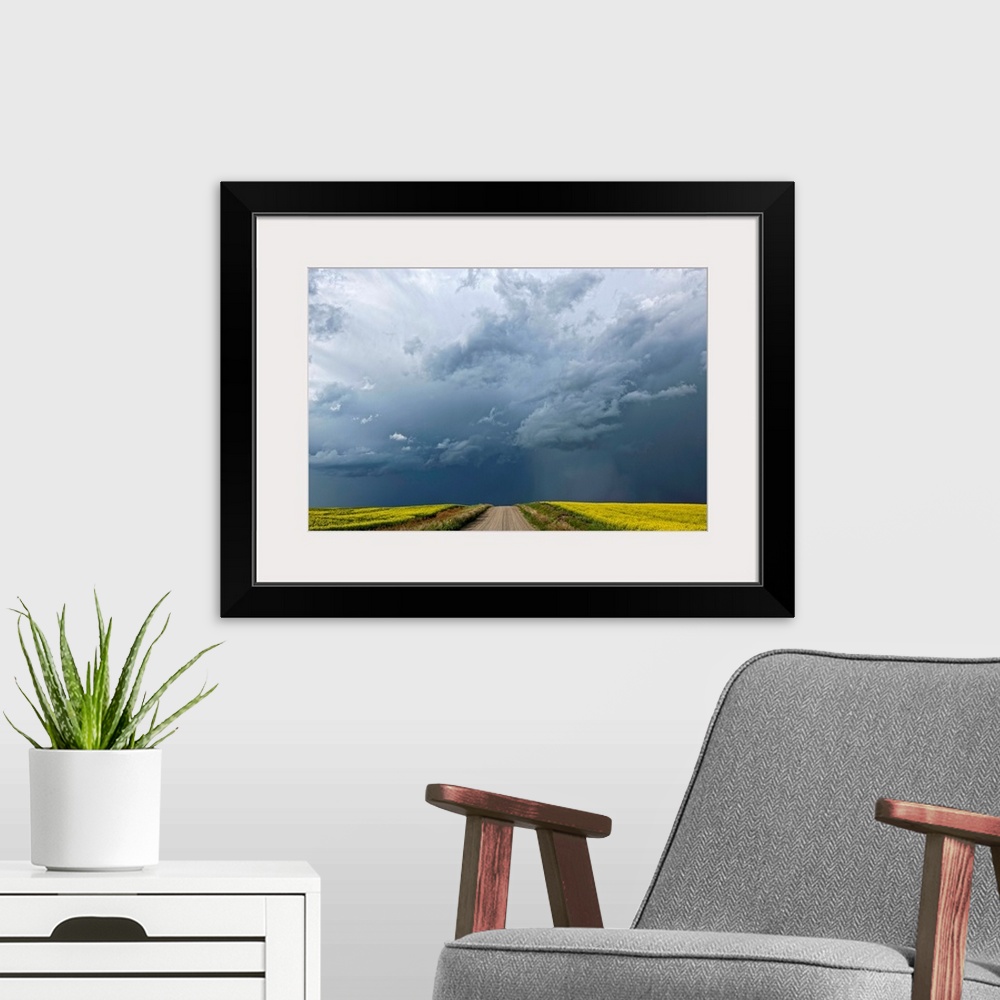 A modern room featuring Storm clouds gather over a sunlit canola field and road, Alberta, Canada
