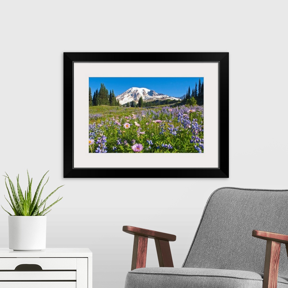 A modern room featuring Wildflower Meadow, Mount Rainier National Park, Washington, USA