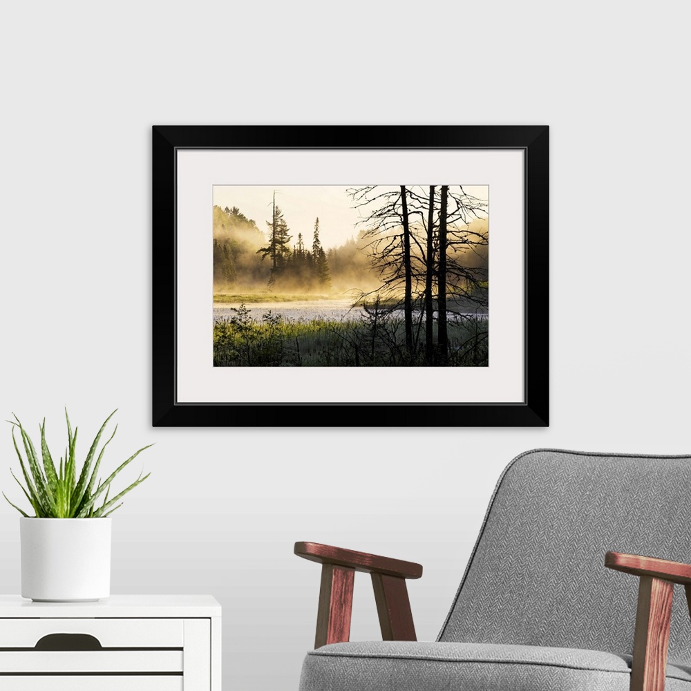 A modern room featuring Big photo on canvas of a forest landscape covered in fog and bathed in various places with warm s...