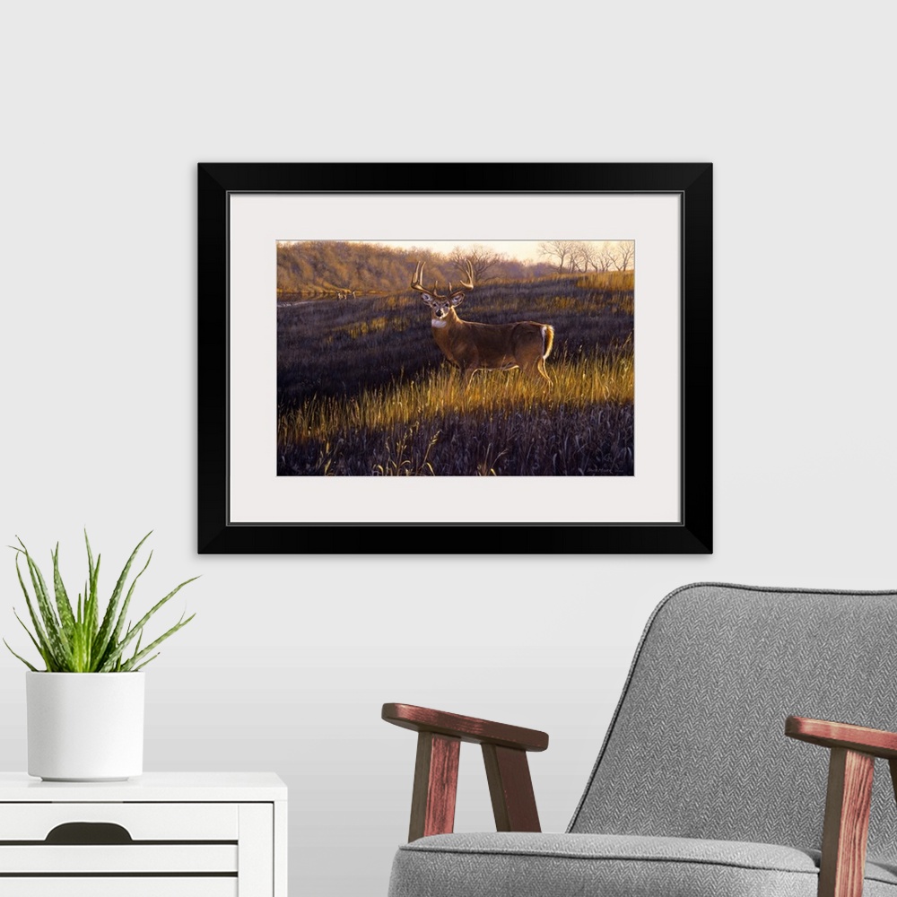 A modern room featuring Zone 4 - Big Country Whitetails