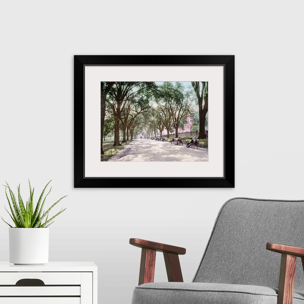 A modern room featuring Antiqued photograph on canvas of a park in Boston lined with trees along a path with people sitti...